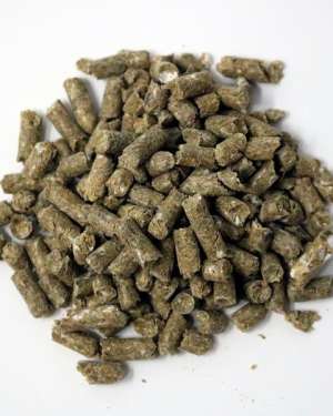 Mad-Barn-AminoTrace-Pellets