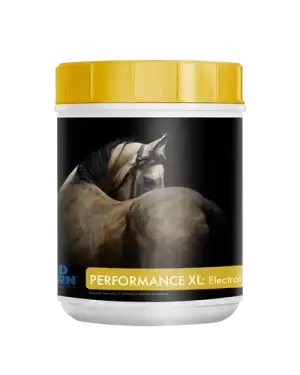 Mad-Barn-Performance-XL-Electrolytes-1-Kg