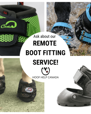 four hoof boots are featured showcasing Cavallo, Scoot Boot and Easycare. Text in the center reads Remote Boot Fitting Service,
