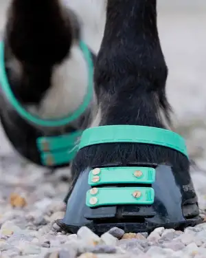 Scoot Boot Front Strap Pack - New Colours - Image 8