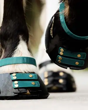 Scoot Boot Front Strap Pack - New Colours - Image 4