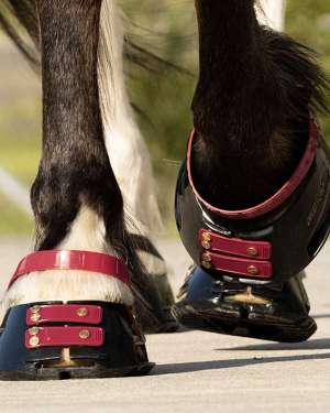 Scoot Boot Front Strap Pack - New Colours - Image 3