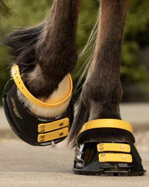 Scoot Boot Front Strap Pack - New Colours - Image 5