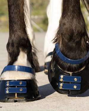 Scoot Boot Front Strap Pack - New Colours - Image 6