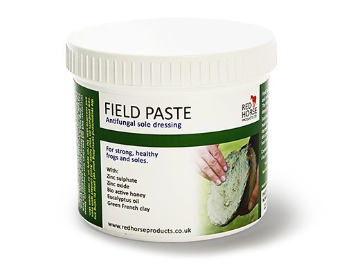 Field Paste