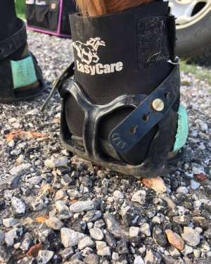 EasyCare Horse Boot Gaiter (pair)