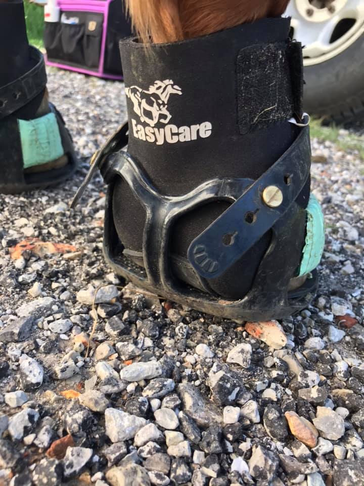 EasyCare Horse Boot Gaiter (pair)