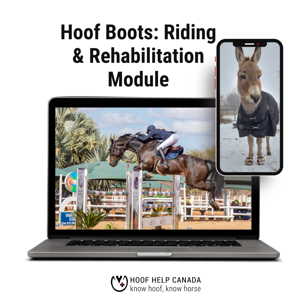 Reads hoof boot: riding and rehabilitation module