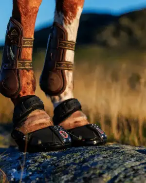 Equine Fusion Trailblazer (single boot) - Image 3