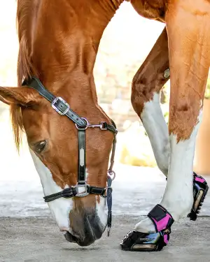 Scootboot MultiPurpose Gaiters - Image 17
